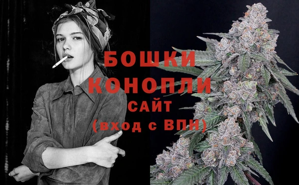 эйфоретик Новодвинск