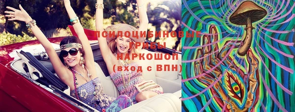 трава Новокубанск