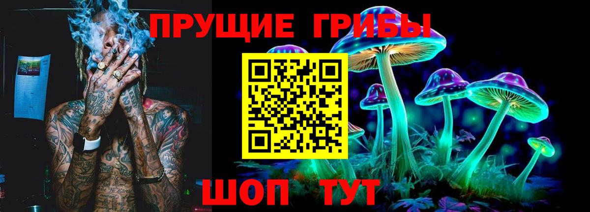 Галлюциногенные грибы GOLDEN TEACHER Псков